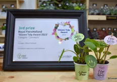 Ook won Lundager de 3e prijs bij de Glazen Tulp dit jaar met hun Smylie Plant Happy Mix in pot en potcover.